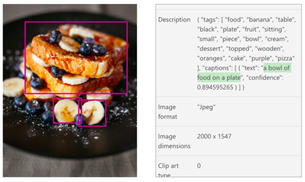 Image Alt Text SEO