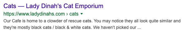 Too Long Search Results