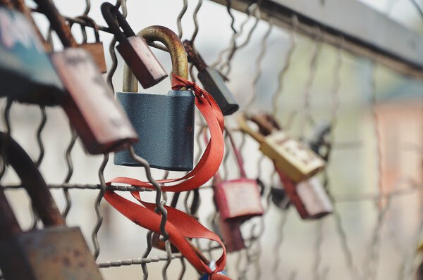 Padlocks on fence